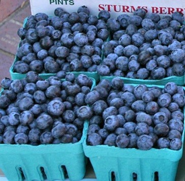 Fresh Blueberries 4 Pints