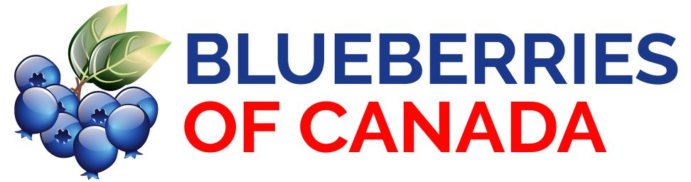Blueberry Farms logo